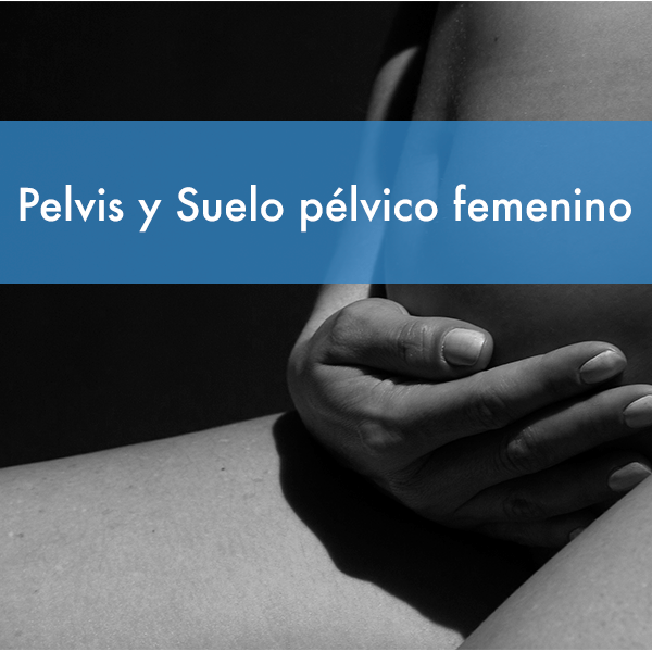 Suelo-pelvico-femenino fisiodocent